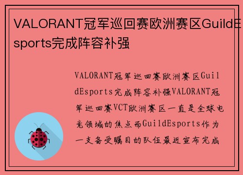 VALORANT冠军巡回赛欧洲赛区GuildEsports完成阵容补强
