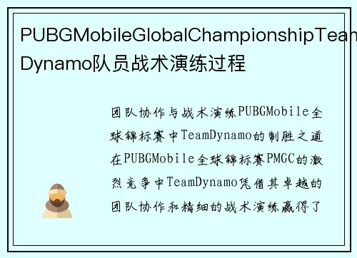 PUBGMobileGlobalChampionshipTeamDynamo队员战术演练过程