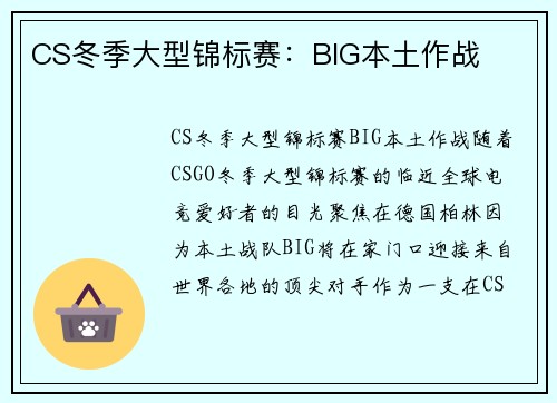CS冬季大型锦标赛：BIG本土作战